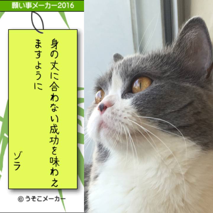 06e34e6d dd7e 45b6 8f9f a92a4fe7a277