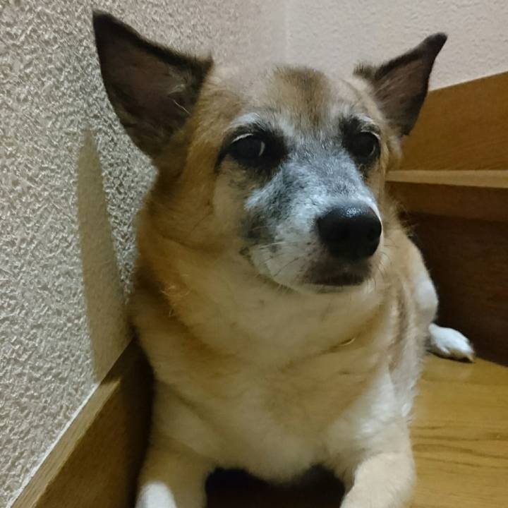 06e3735c d25d 455d b368 302b1956eed0