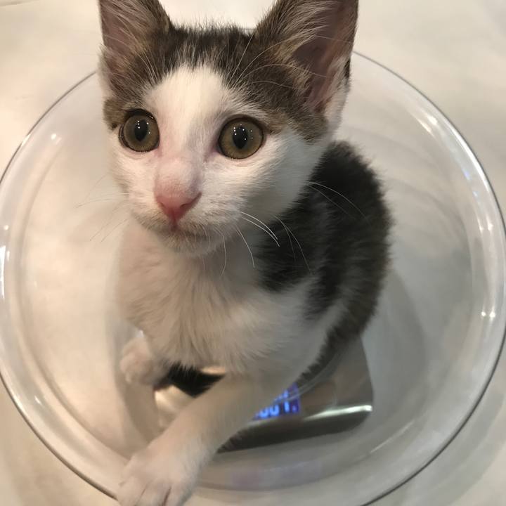 06e3fbb5 97bd 4ddf b8ba c4e54b0a19b8