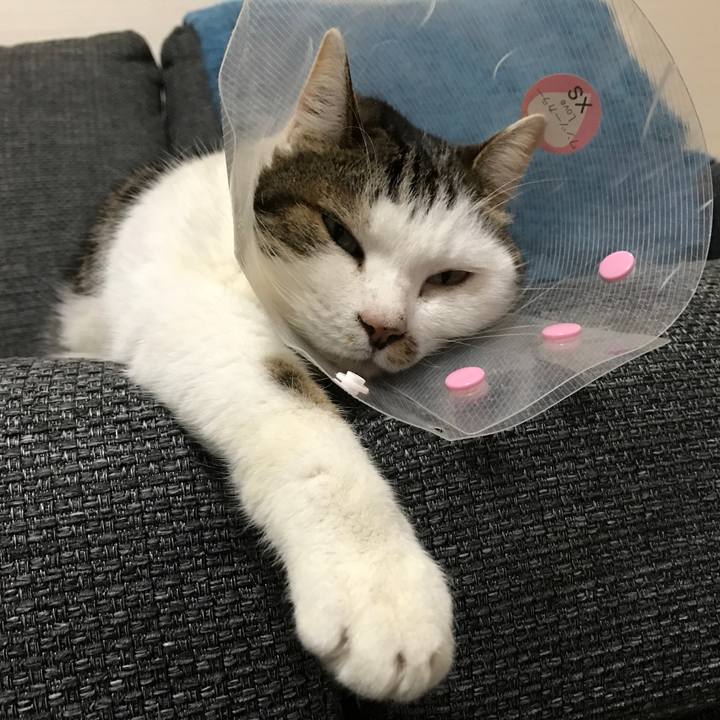 06e4e4c0 5ae3 4f38 ad25 d1e1a7da0f0d