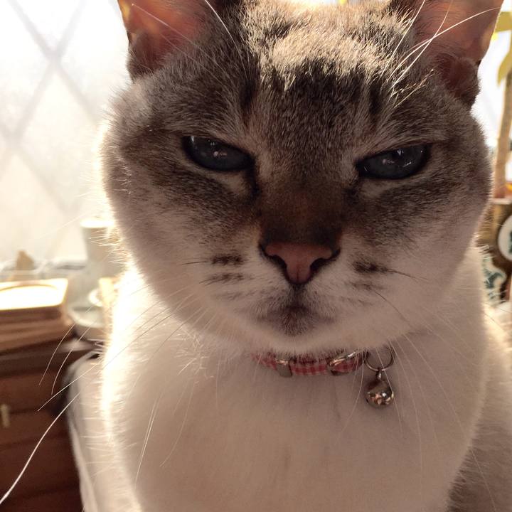 06e53fc7 2fa7 4be5 9af6 10ec225acf14