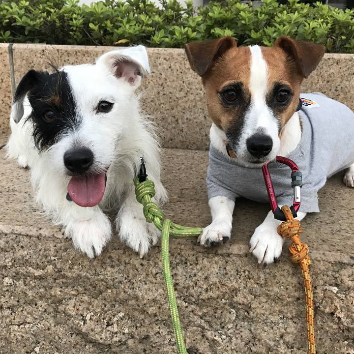 06e576ad 2f29 4973 95cb c8a52f404776