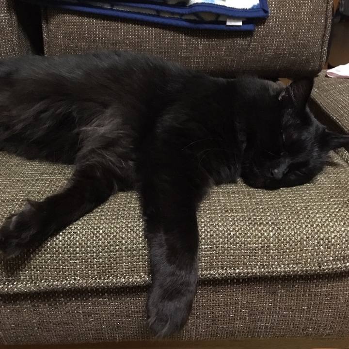 06e68451 af12 436e b6ba e7d8a923dd4c