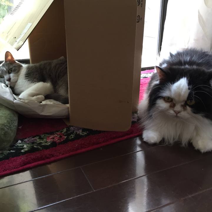 06e6dd31 2276 4e71 a31a 4ef44db95ec8