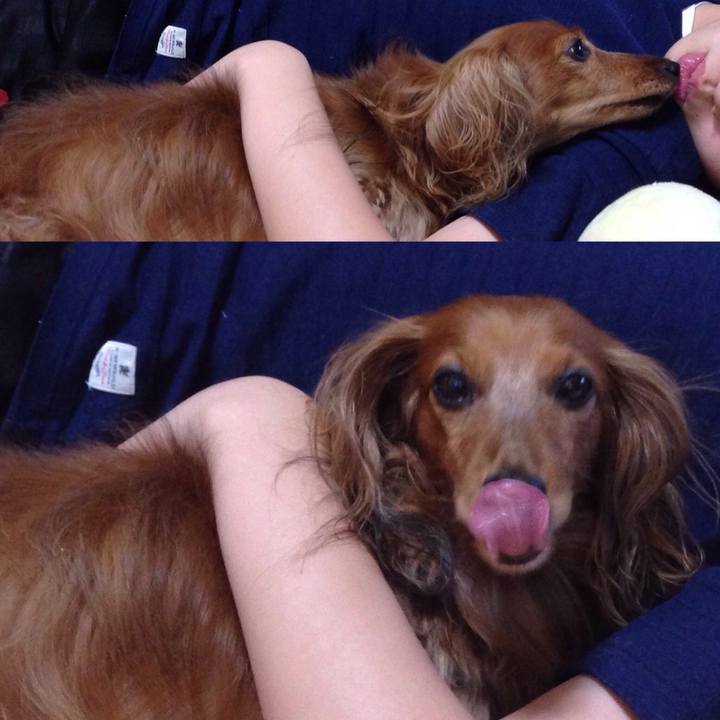 06e6f4eb 6edb 41f2 b440 b871d2267fea