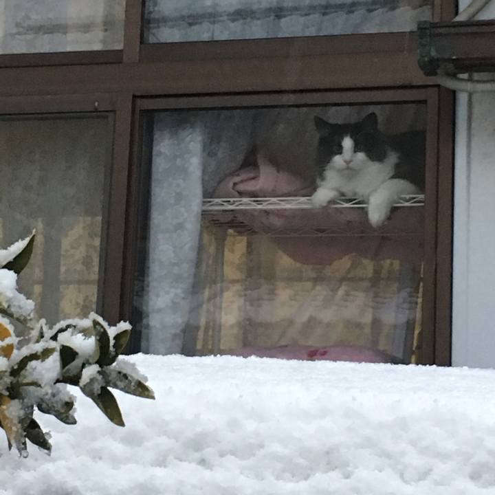 06e78bd6 9294 4ff6 9fb8 c90fd99171e9