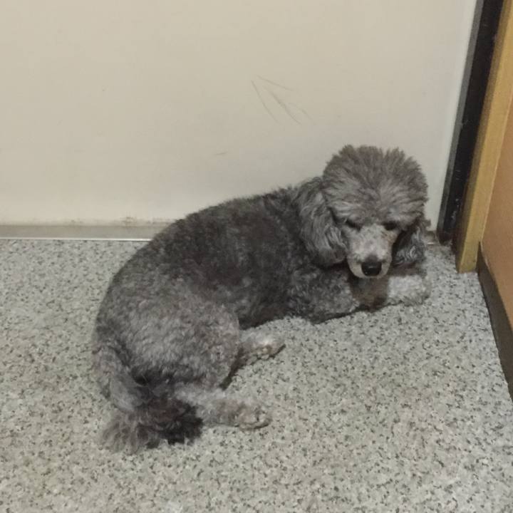 06e81442 0cb1 4a76 8c8c 77130e563cd4