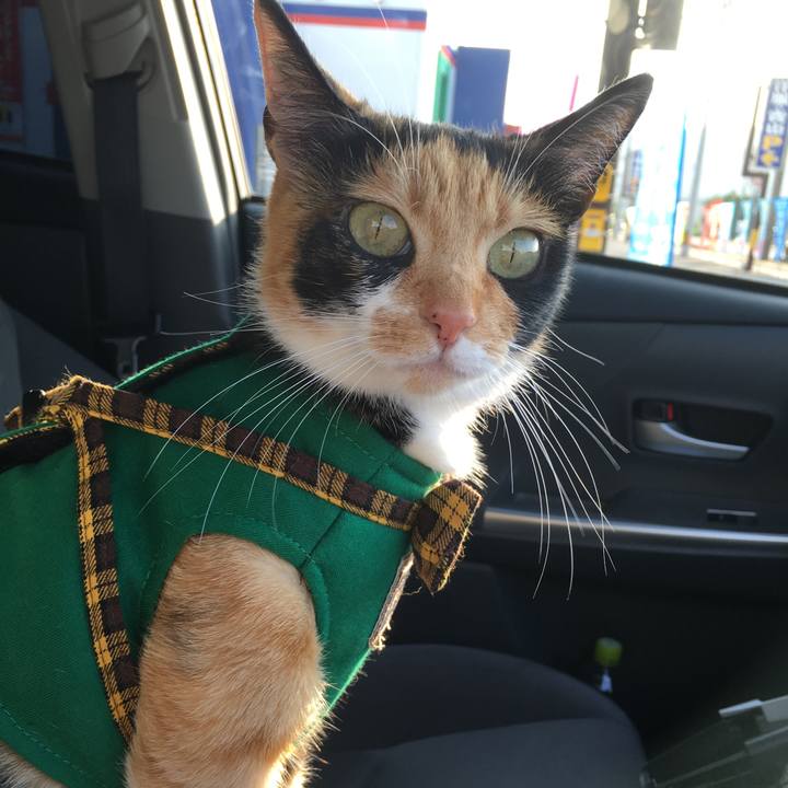 06e831fe ce12 463d a2a4 510ccd648b43