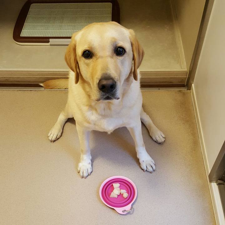 06e939d0 ef90 4ac1 a38b bf0b7ecf73ae