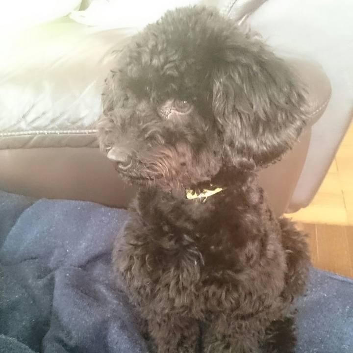 06e98f3b b470 40e0 b54c 6f694bbe2241