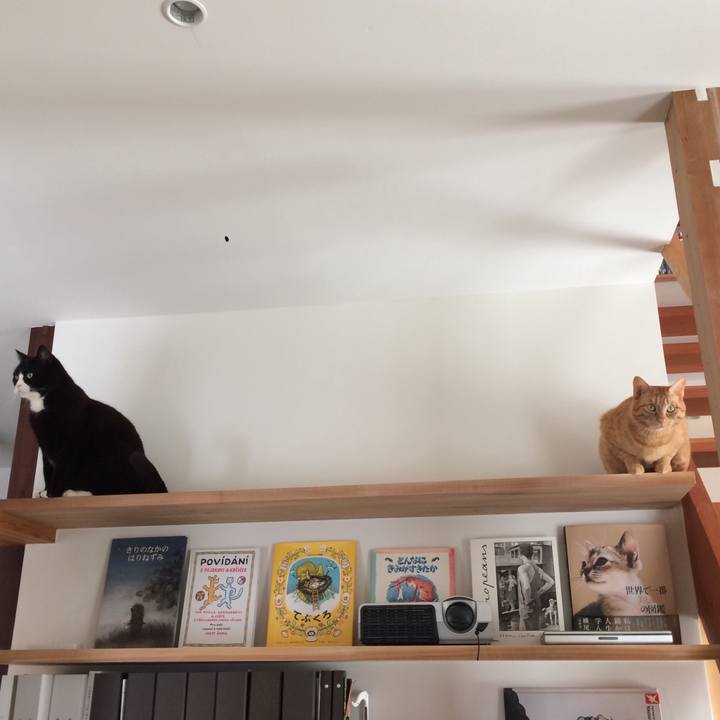 06e9ff48 208d 491d 9171 0e10961f0de5