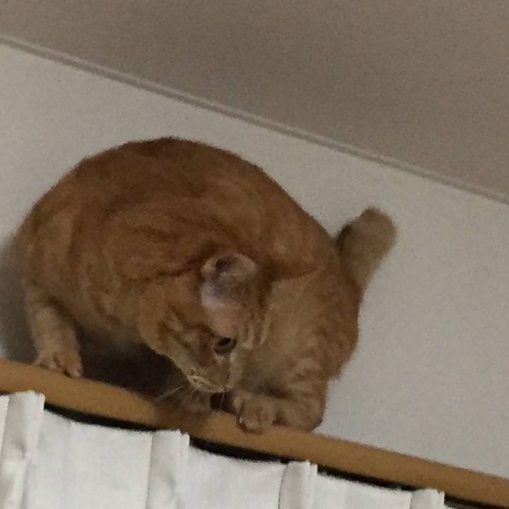 06ea5020 f119 46d6 9a0f 51275e0d5fe4