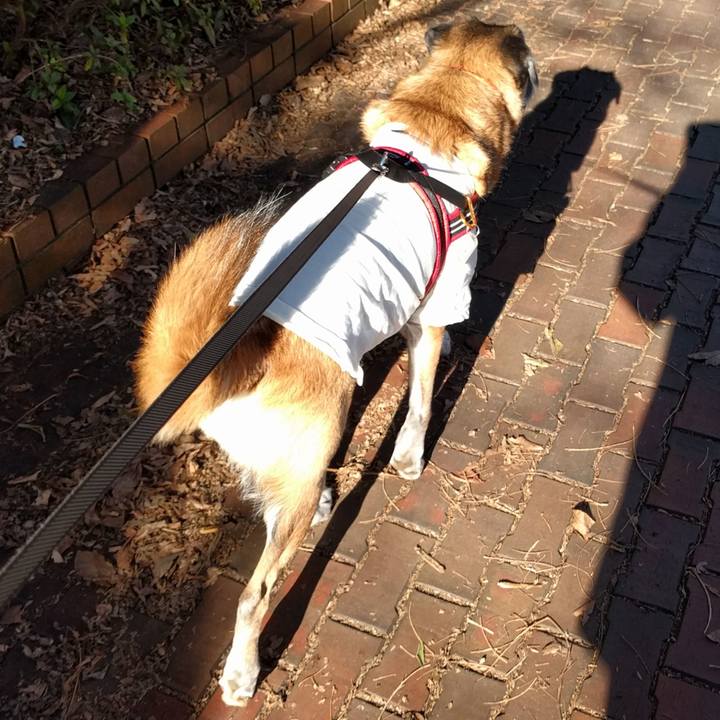 06eaa7e1 92a4 49b2 af99 5f4925fa7f22