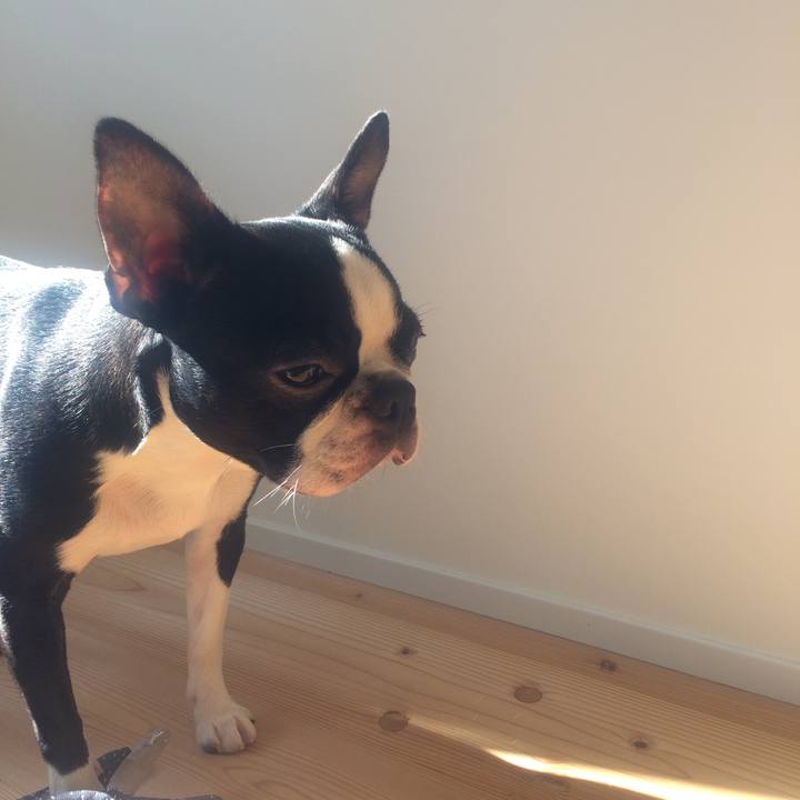 06eae17d c9f8 4551 ba89 a4f9e18b1f31