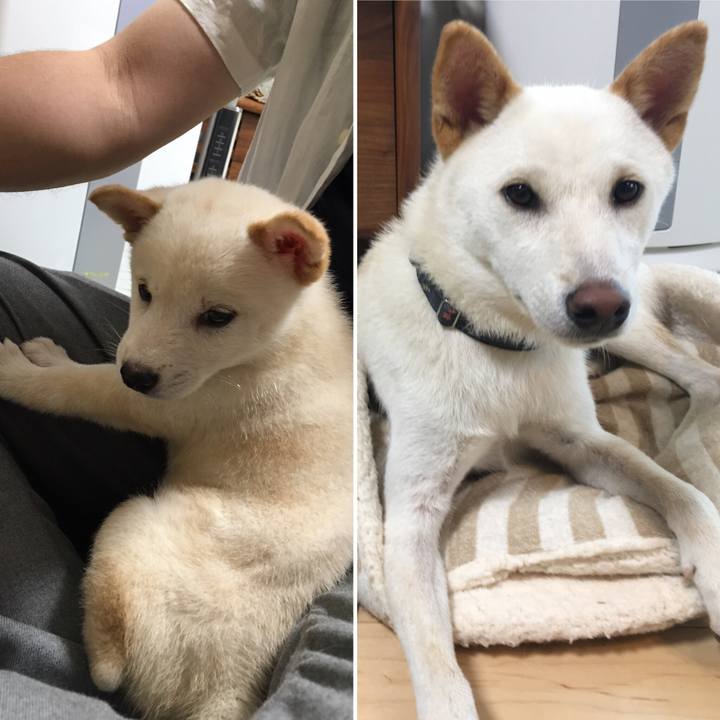 06eb2c8c c4cd 4eb4 9c0f 086299725a94