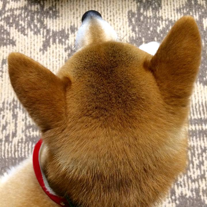 06eb405a 5a0c 48b1 8872 1ed8ac1ab707