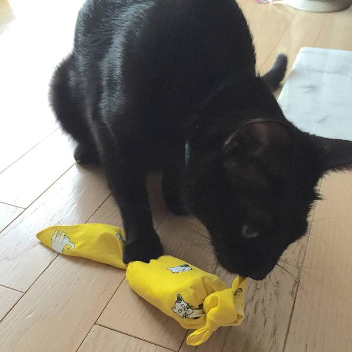 06ebd4ce 72a3 4289 ad96 1263dd0377a7