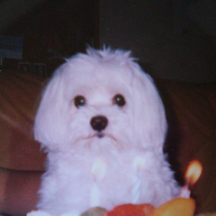 06ebf518 1bf6 4bde 81fa 121e475ca4fe