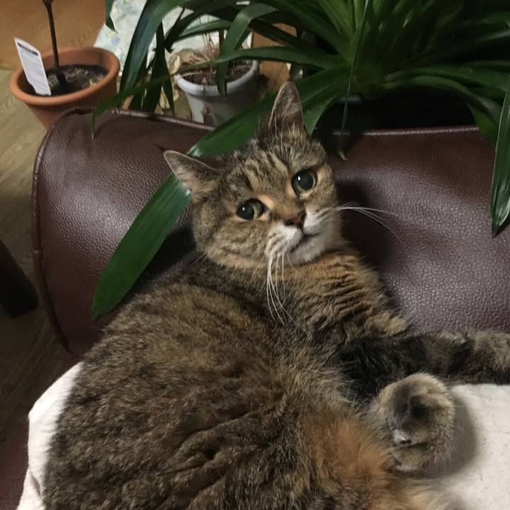 06ec7814 0866 42f6 8394 d84e294bdc90