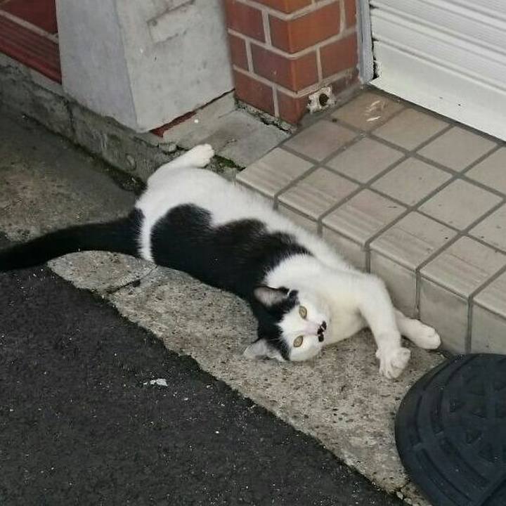 06ed2968 edb5 4361 8a6f 48eff283b403