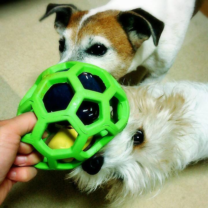 06ed6381 ad43 4011 b519 4e976202faba