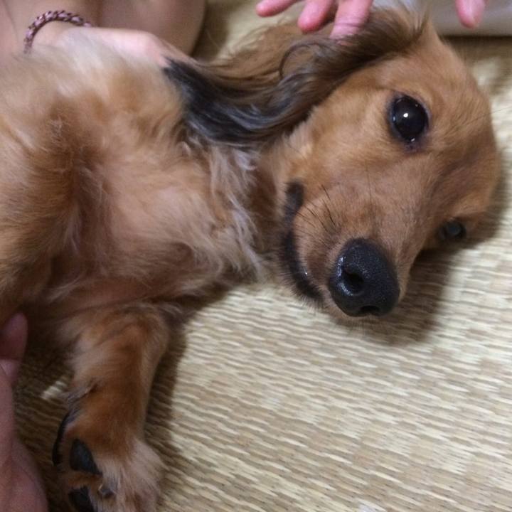 06edcfc8 dd8c 4db9 90b2 098684caa4fd