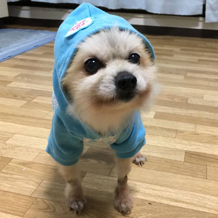 06ee4244 9657 4ea1 b2fb cbb0f6440cb6