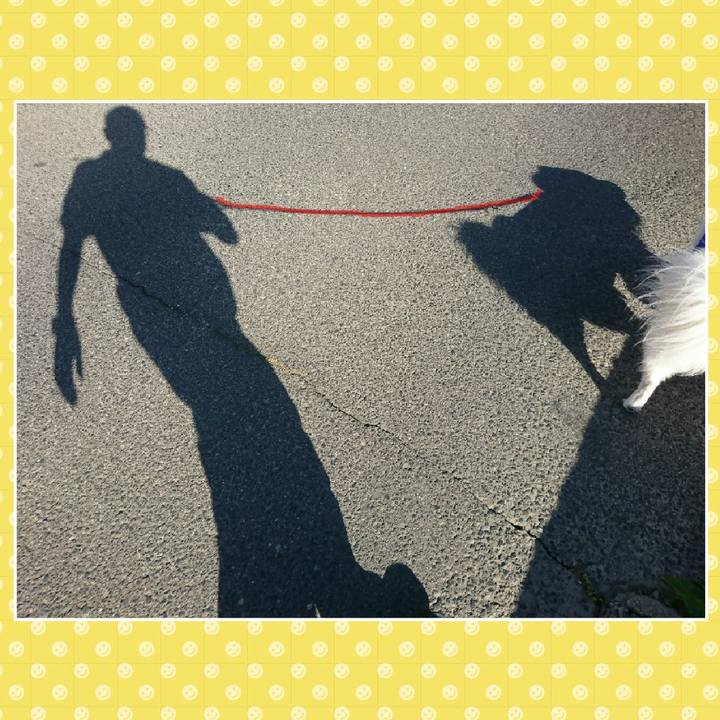 06ee69cd 9a18 4486 a289 1b637aaec309