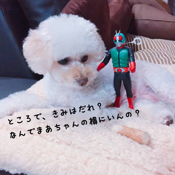 06eea87b dcb7 4642 a3c5 308fbe6341a0