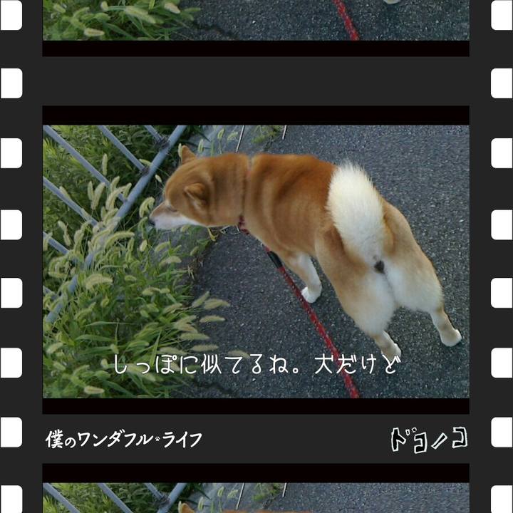 06eed986 cc00 4b32 894f 275f2234e994