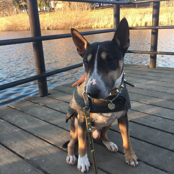 06eeeb98 d733 490f b074 3ece24ca6373