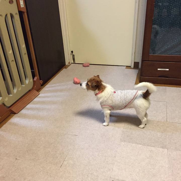 06ef1615 0519 457e bfbd 05076336171c