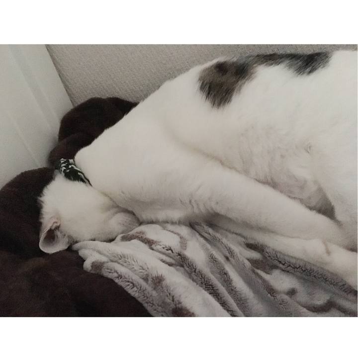 06ef9e40 4257 4141 bf74 297c13a82e08