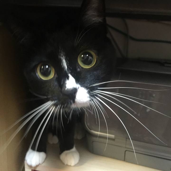 06efb545 dadf 4261 82fb bd525723e9ca