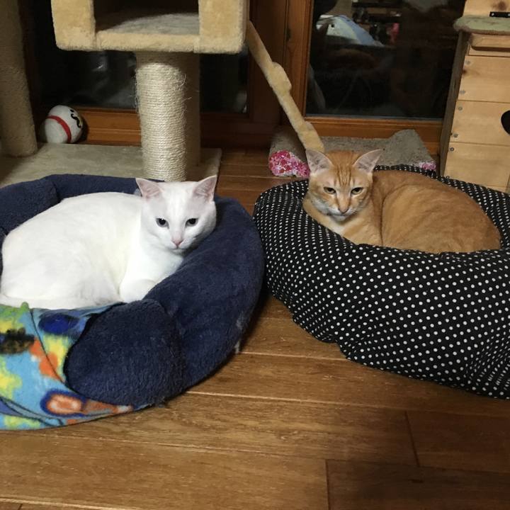 06f057ed bfb4 4f8c 901b 83ef5293f2b8