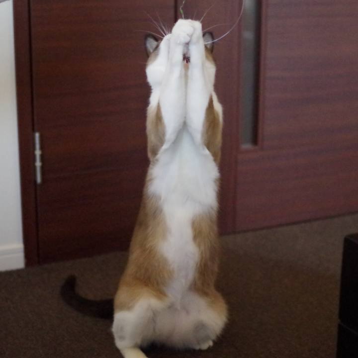 06f0cbd8 700e 427d 94b9 205d11191b11