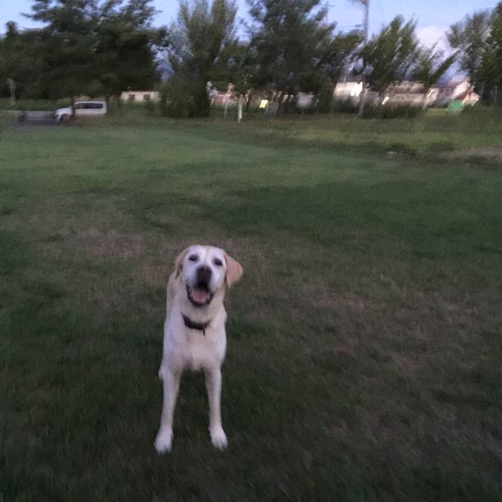 06f11107 0b61 4b4b b26a ffeb42d4a587