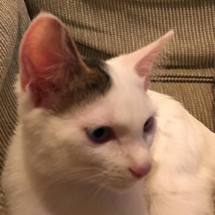 06f11966 ebc2 4616 83c4 fbfd71a1b89f