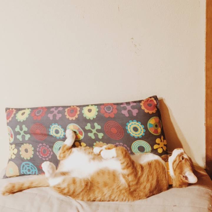 06f19acb 1367 4a46 841a 88091d68ce32