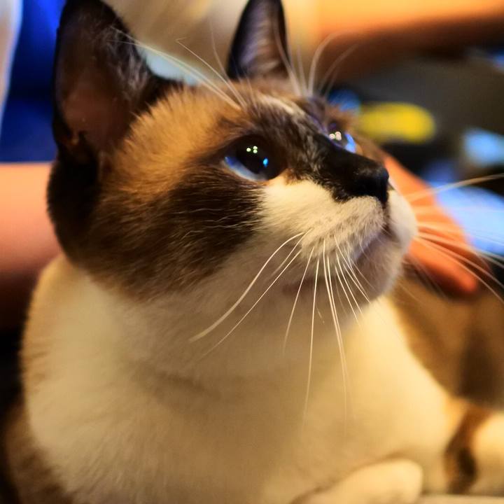 06f22400 5d5e 4af5 b084 28d10466bea4