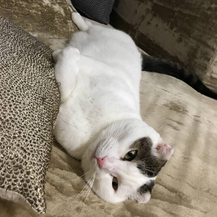 06f27115 d4ed 4d40 9c32 5dfe6bdb47c3