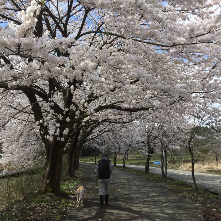 06f30565 900f 422e aadd f4f70c14aaf3