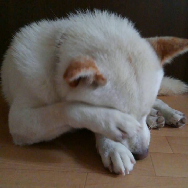 06f34f5d 9d49 46b1 91d6 316004cf5898