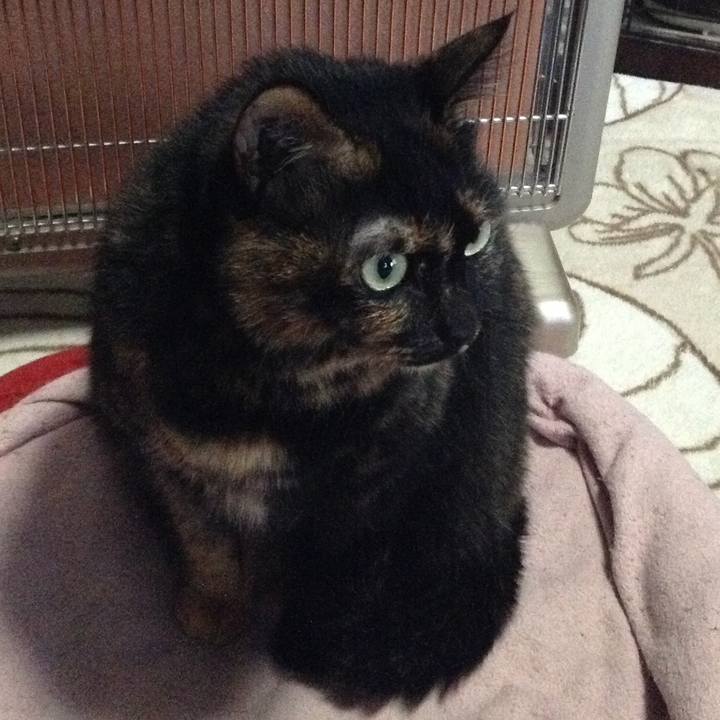 06f3ed45 713c 45bf 8227 b1e34ce22589