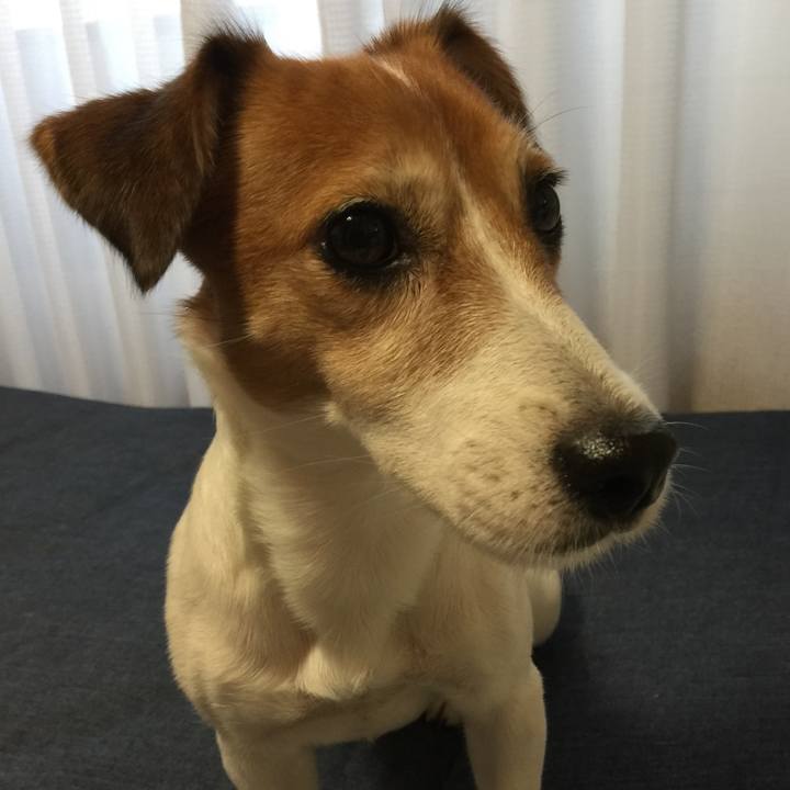 06f41522 eb00 4c4a bc15 464bd6dd1d35