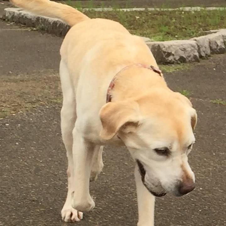 06f41963 9246 4157 971d 2c2229e48565