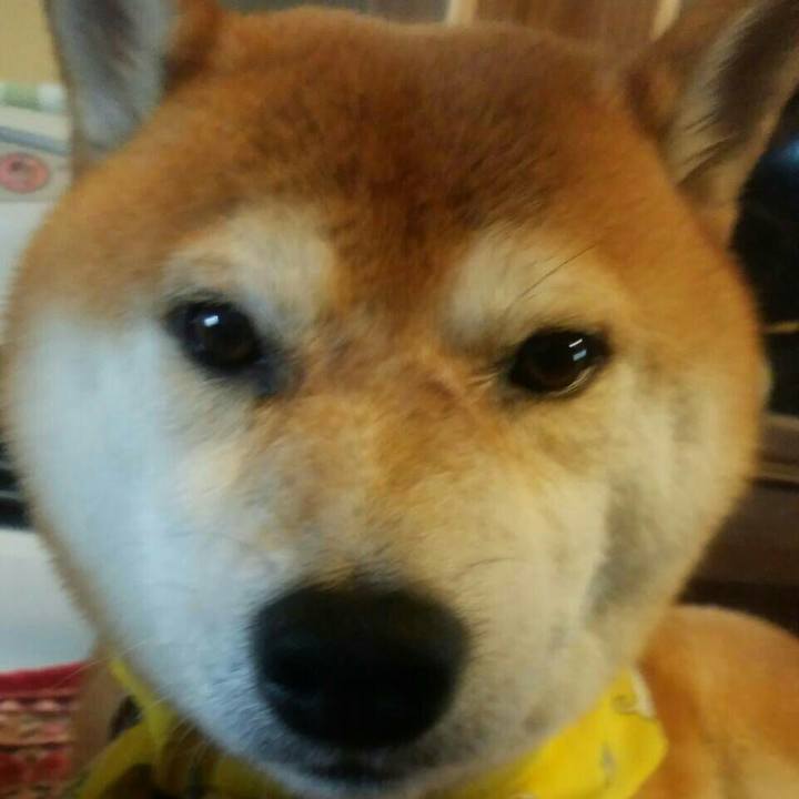 06f43e2b bbbe 4565 8c4e 227f898f4833