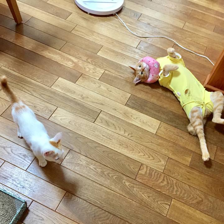 06f481c0 bae9 466c 8f64 1bd0d01486bc