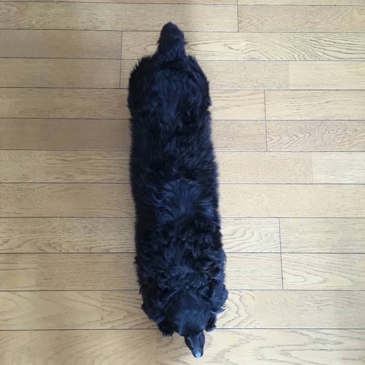 06f4af63 48c7 4c1a abe8 f14b2b3045b5