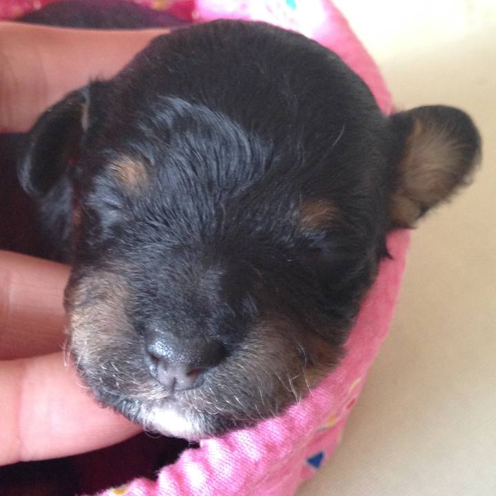 06f51356 48cf 4139 aa8c fa331aa1345a